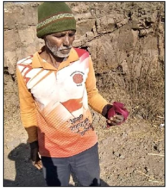 फलटण तालुक्यात रानगव्यानंतर आता रानडुकराने  केला शेतकऱ्यावर हल्ला.