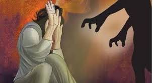 घरगुती वादातून दिराने केला वहिनीचा विनयभंग !