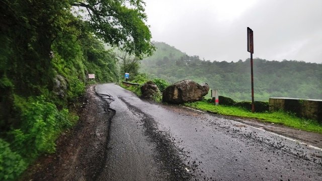 महाबळेश्वर रस्त्यालगतची केबल खोदाईत झाडे असुरक्षित