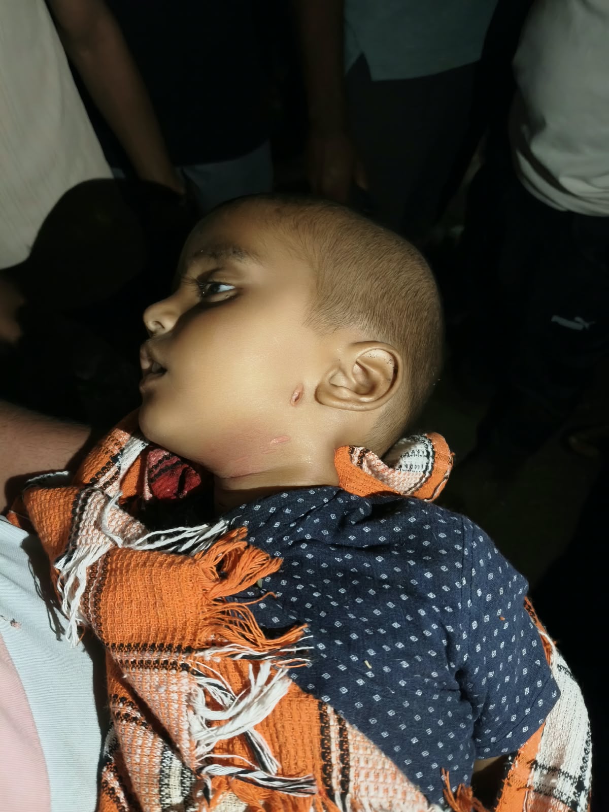 नहाळेवाडी हादरली धरासमोर खेळणाऱ्या अडीच वर्षांच्या बालकाला बिबट्याने उचलले; दुर्दैवी मृत्यू